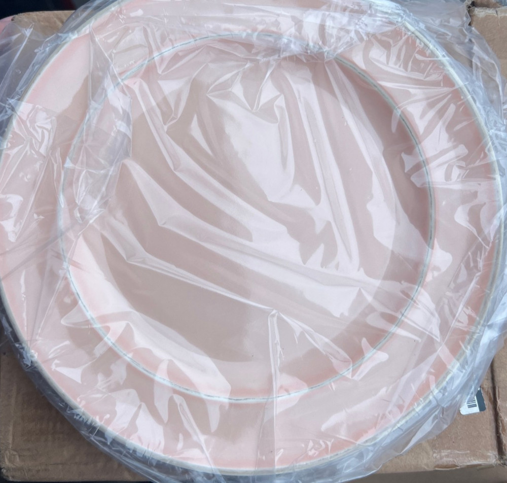 Pottery Barn Set of 4 Cabana Melamine Dinner Plates Shell Pink NEW