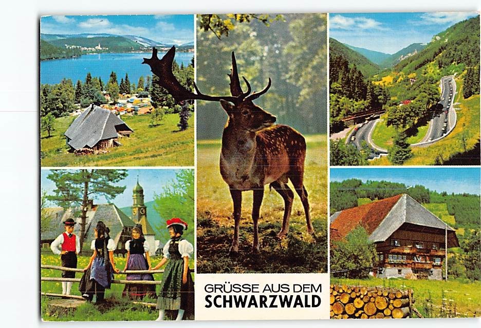 Postcard Scenes & Views Black Forest Germany
