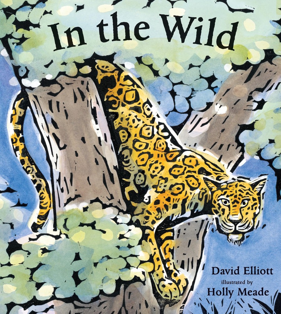 In the Wild (Paws, Fins, Feathers, Claws) by Elliott