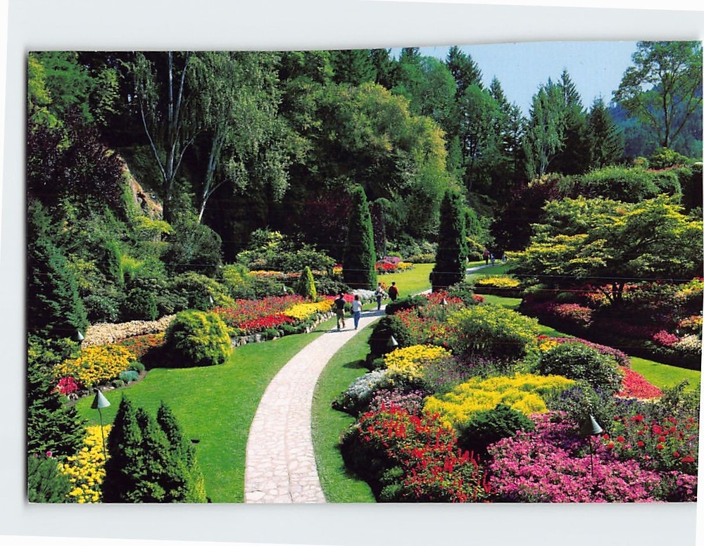 Postcard The Sunken Garden Butchart Gardens Victoria BC Canada