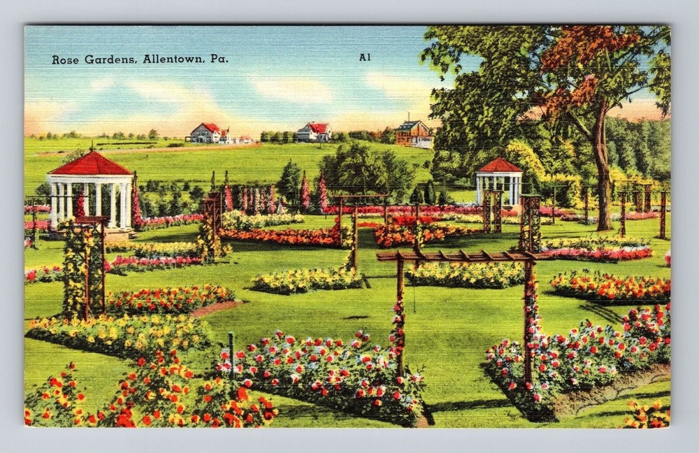 Allentown PA-Pennsylvania, Scenic Views of Rose Gardens, Vintage Postcard