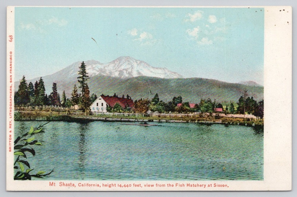 Mt Shasta California Fish Hatchery Sisson Britton & Rey Postcard Early 1900s