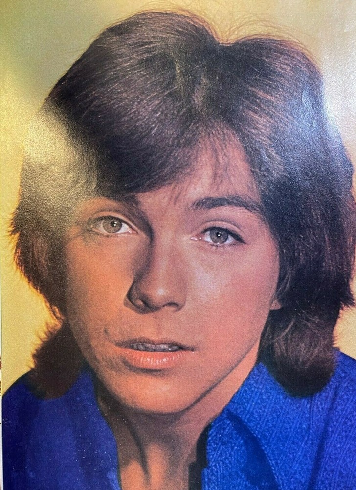 1971 Vintage Magazine Illustration Musician David Cassidy