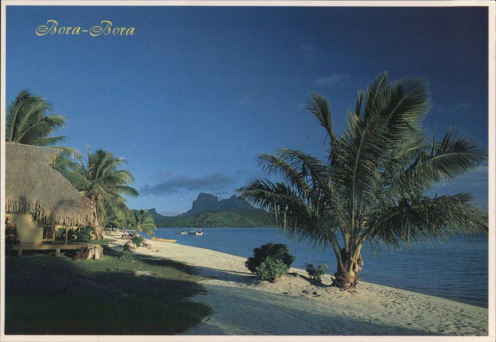 A. Sylvain Bora-Bora, French Polynesia Beach, Palm Trees, Mountain View Postcard