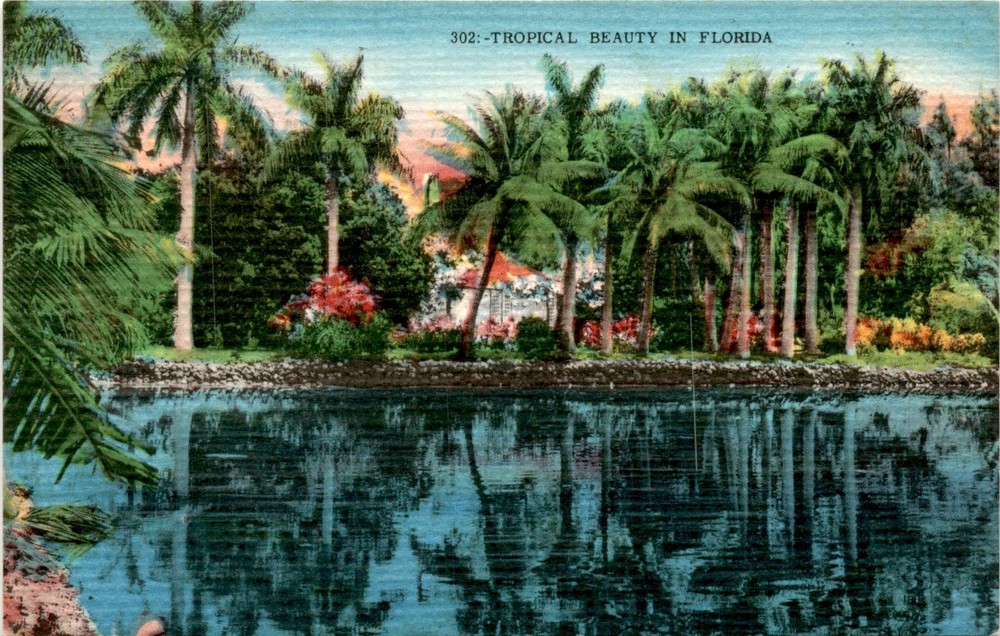 Florida, Hartman Litho Sales Co., Largo Postcard
