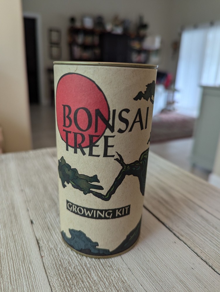 The Jonsteen Company Japanese Maple Acer Palmatum Bonsai Tree Growing Kit NEW-image