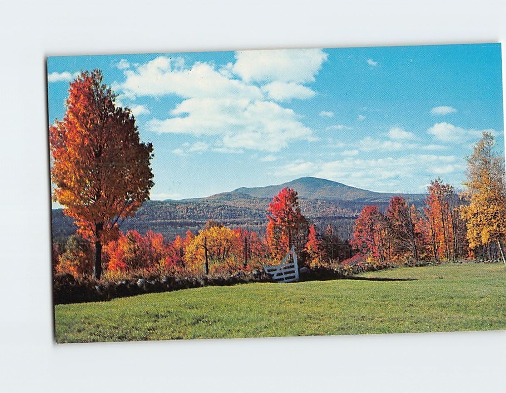 Postcard Fall Scene Mt. Kearsarge New Hampshire USA