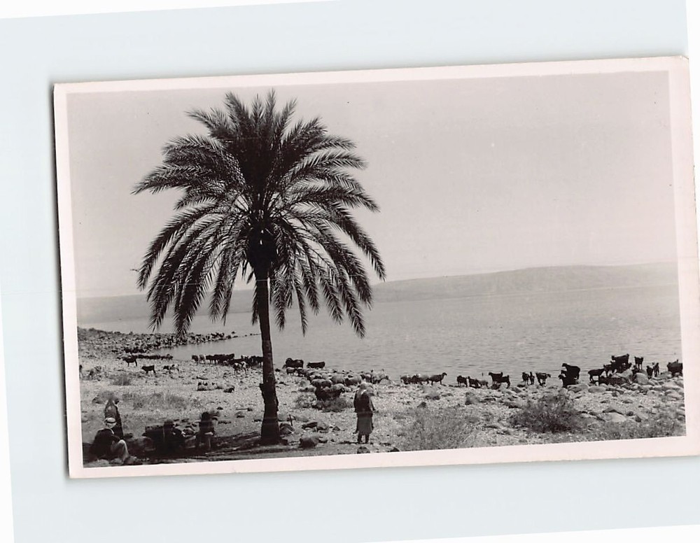 Postcard Sea of Galilee Israel
