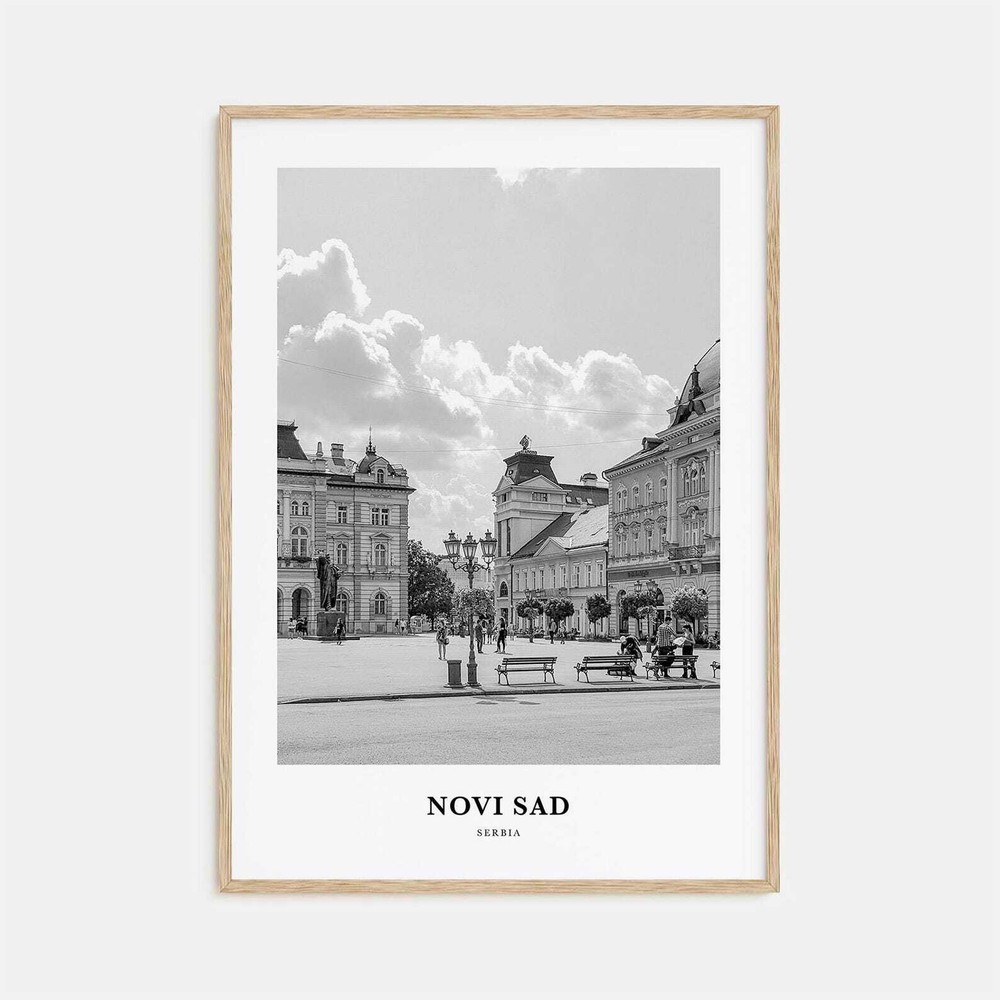 Novi Sad Wall Art Novi Sad Wall Decor Novi Sad Poster Novi Sad Home Decor Novi