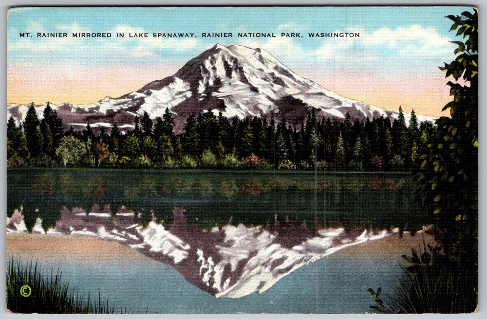 Vtg Linen Postcard MT Rainier Rainier National Park, Washington 1930s