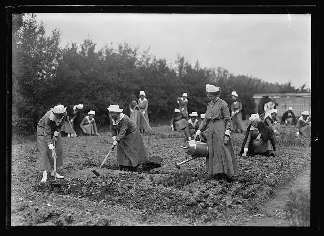 Photo:Contrexeville France 1918 Convalescents at Work in ARC Gardens