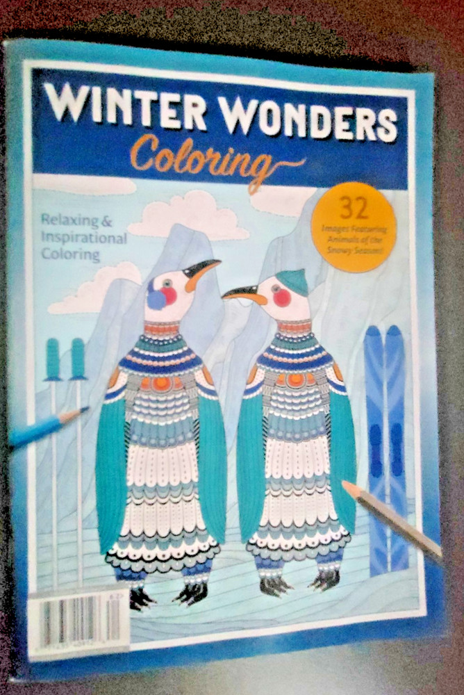 Winter Wonders Coloring - Relaxing & Inspirational - 32 Images of Snowy Animals