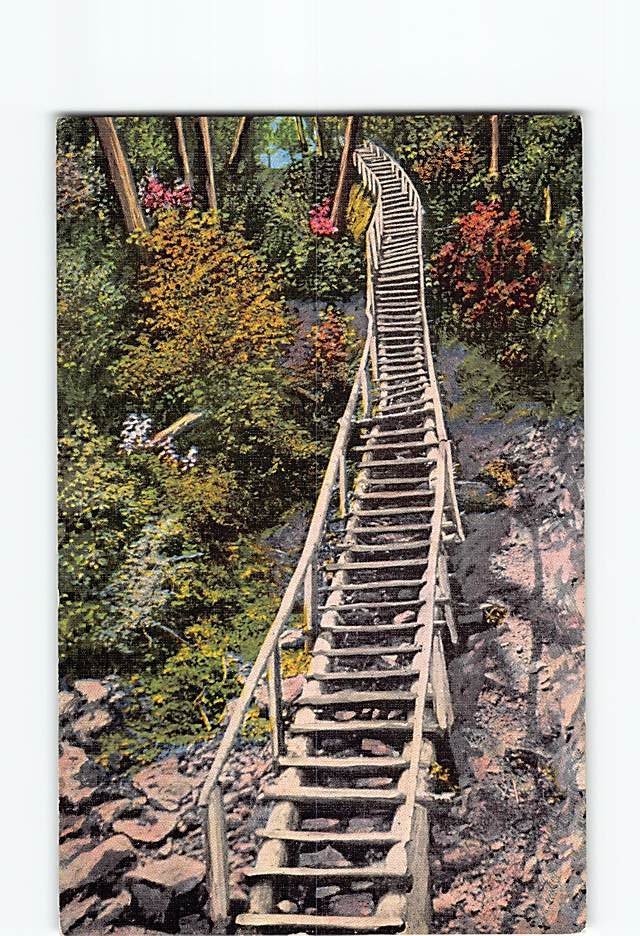 Postcard Ladder Miners Falls Munising Michigan USA