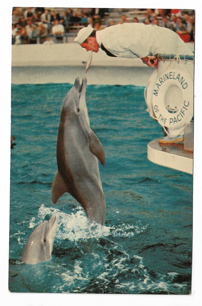 VTG Postcard Marineland of the Pacific - Southern California