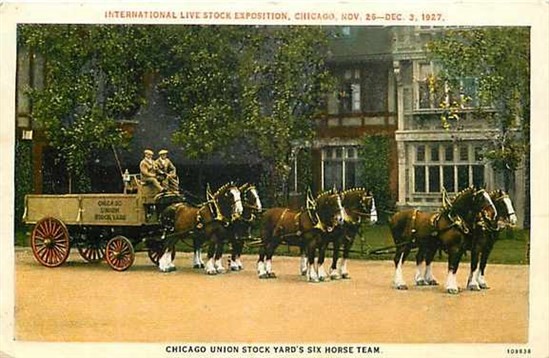 IL, Chicago, Illinois, Live Stock Exposition, Union Stock Yards, Six Horse Team