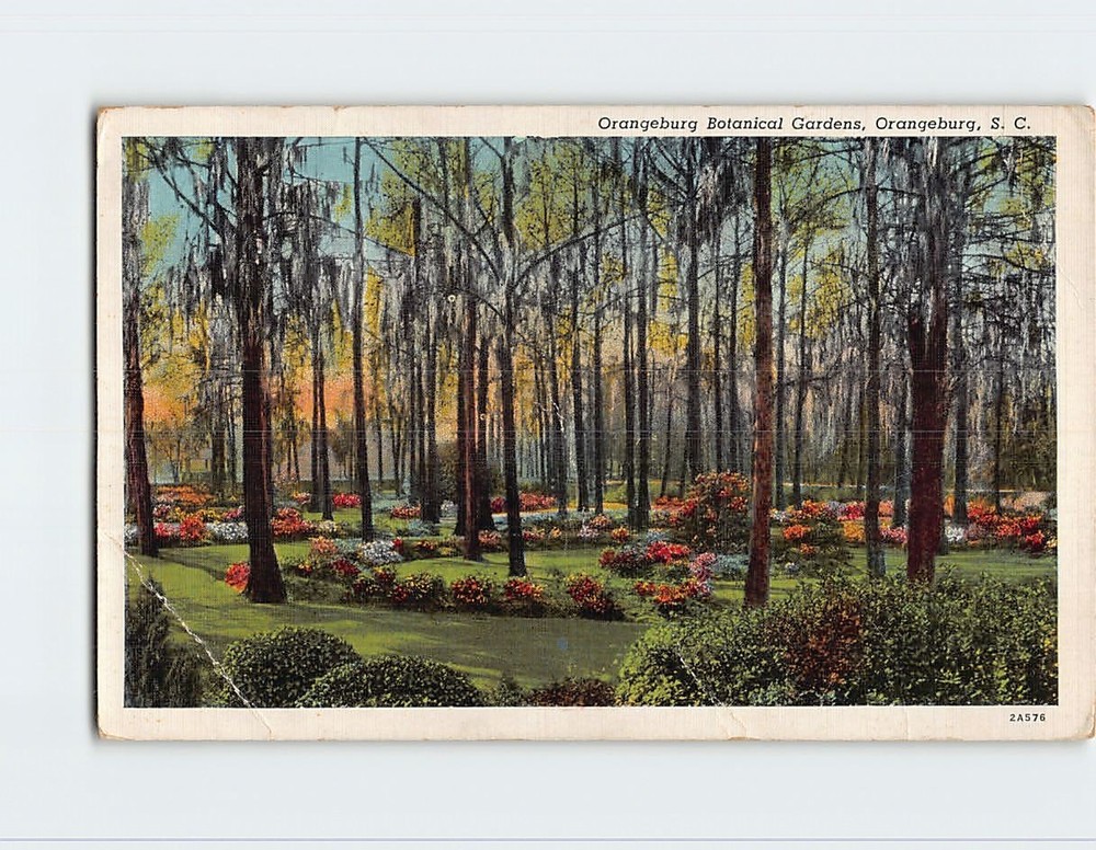 Postcard Orangeburg Botanical Gardens Orangeburg South Carolina USA