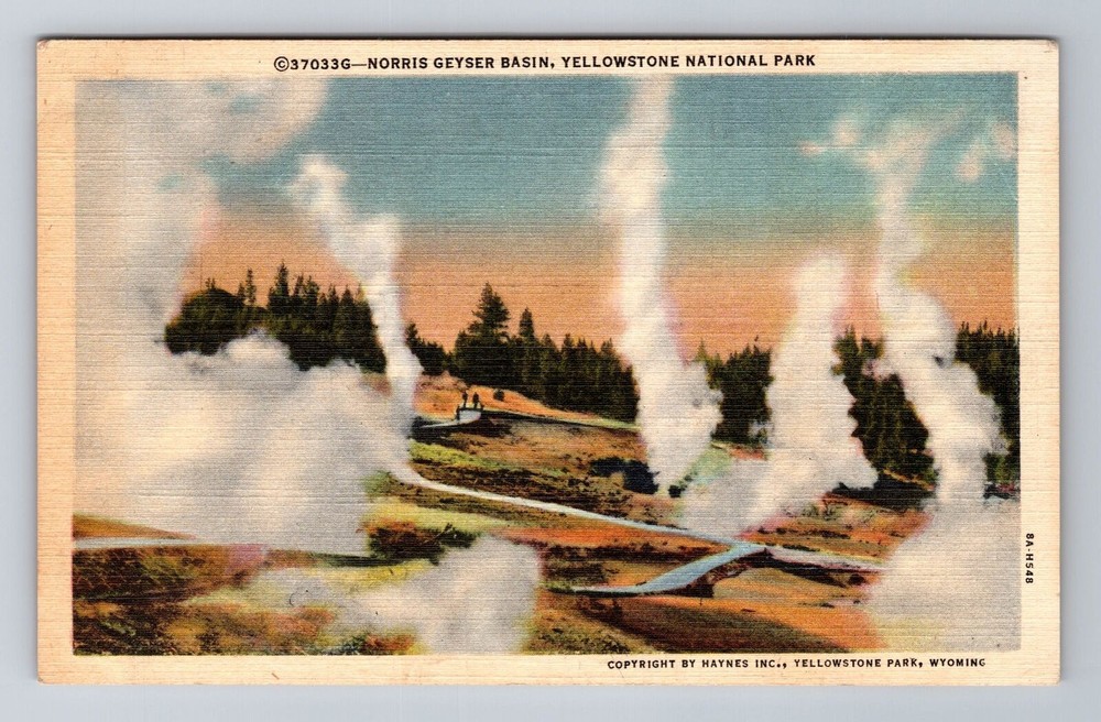 Yellowstone Park WY-Wyoming, Norris Geyser Basin, National Park Vintage Postcard
