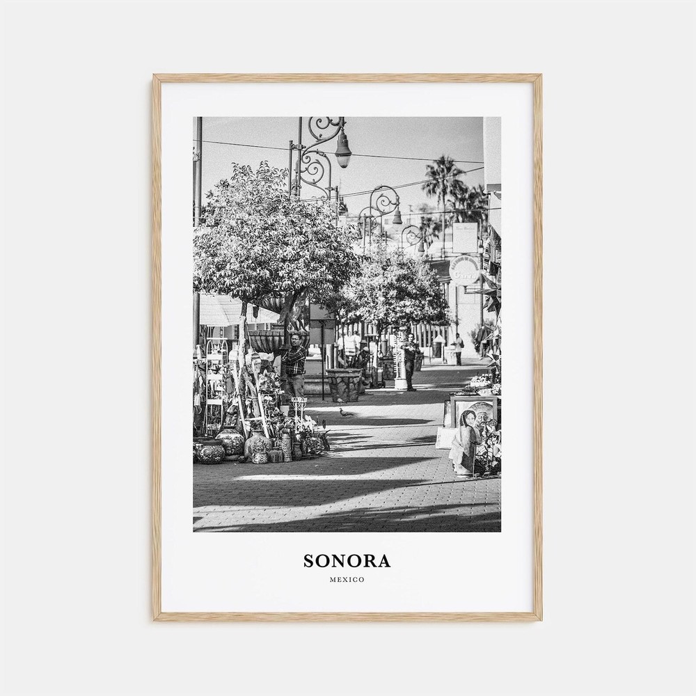 Sonora Wall Art Sonora Wall Decor Sonora Poster Sonora Home Decor Sonora Travel