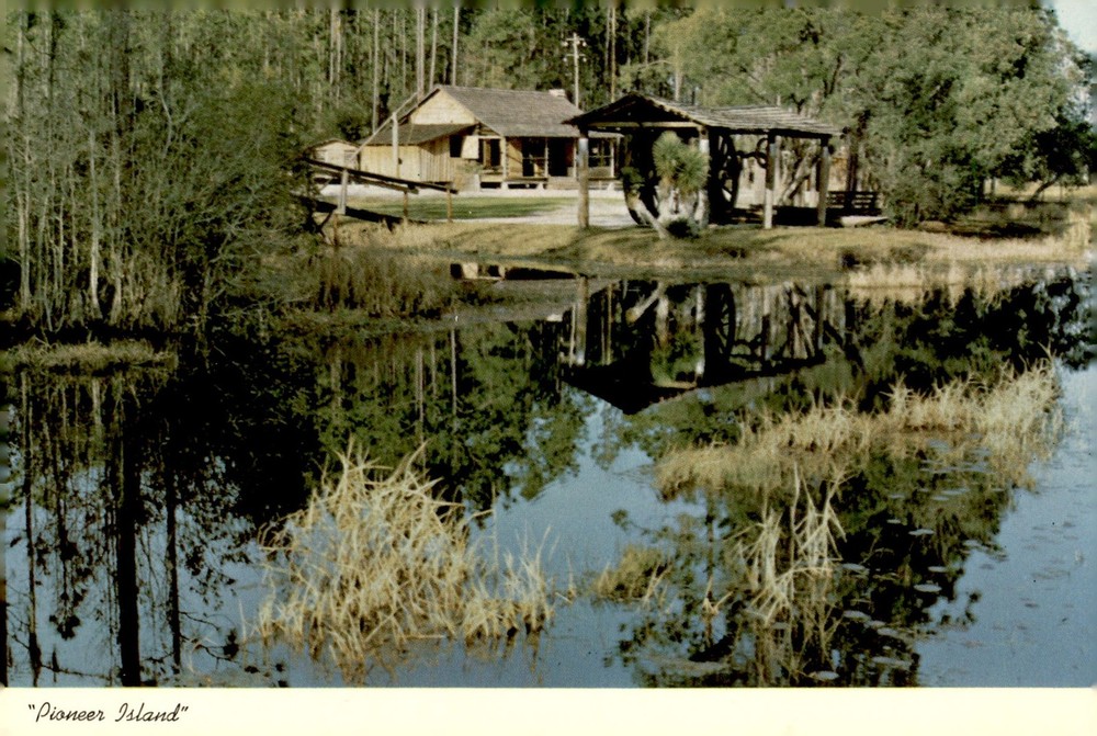 Exploring Pioneer Island in Okefenokee Swamp Park, Waycross, Georgia Postcard