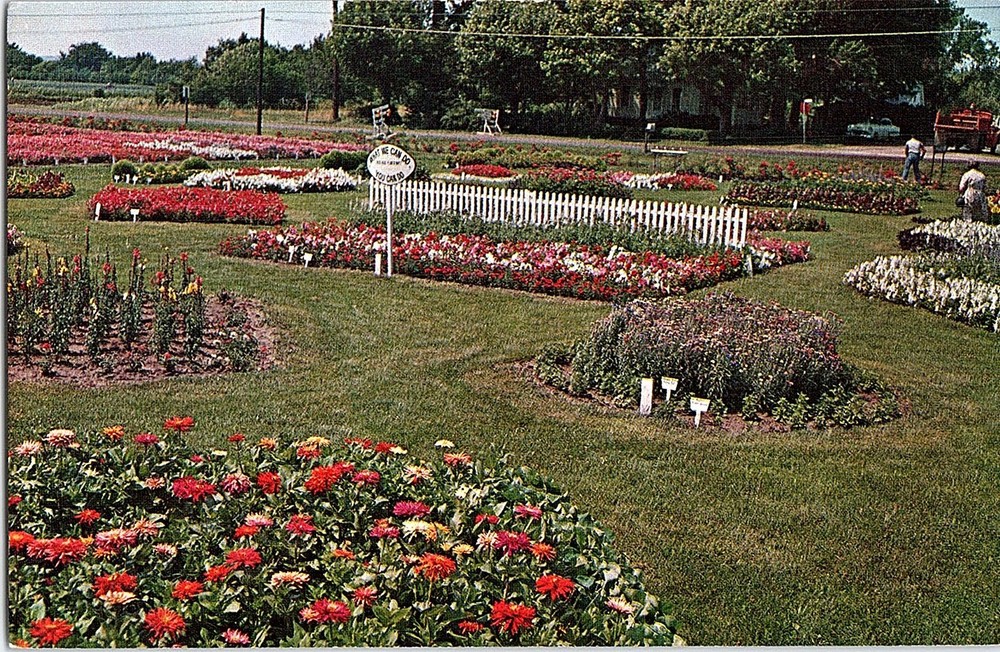 Chrome GARDENS SCENE Shenandoah Iowa IA m/09 AH8848