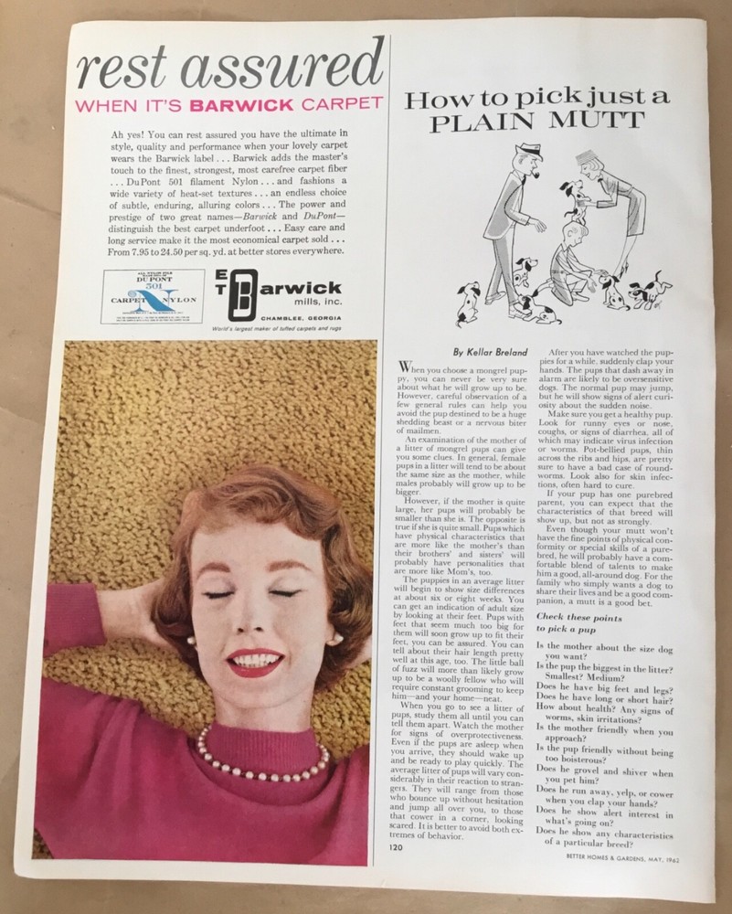 Barwick carpet ad 1962 orig vintage print 60s retro art home decor style model