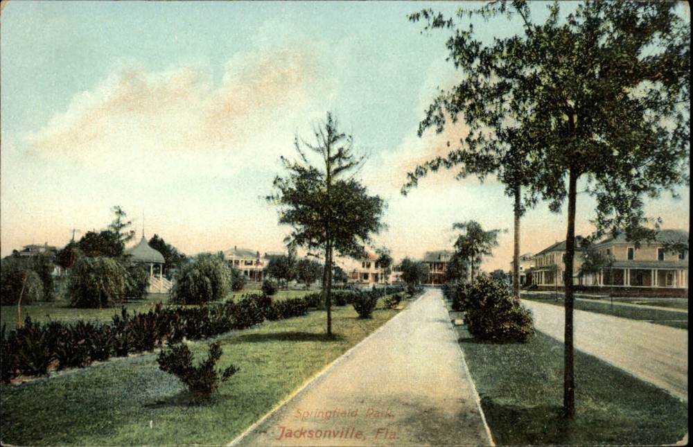 Homes ~ Springfield Park ~ Jacksonville ~ Florida Artistic Series c1910 postcard