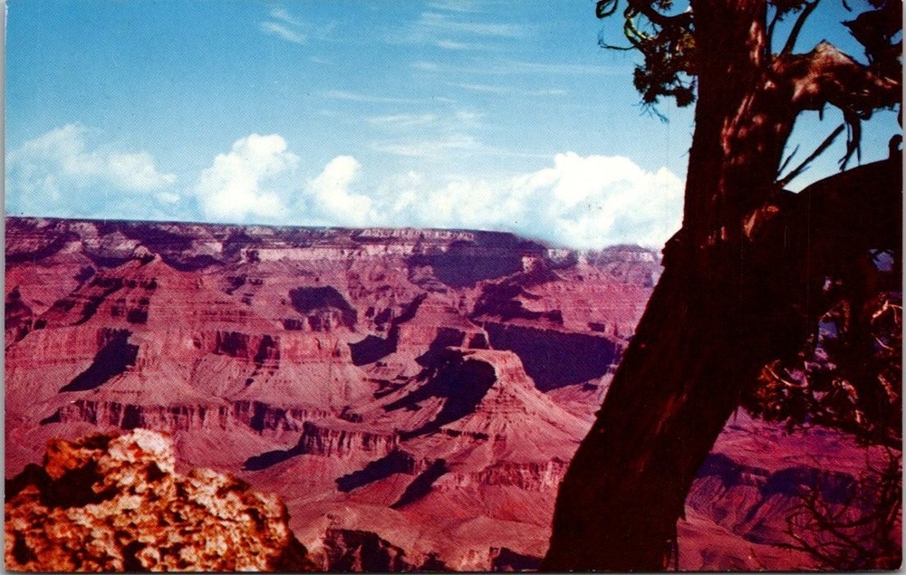 Vintage Grand Canyon National Park Arizona Mike Roberts Fred Harvey Postcard