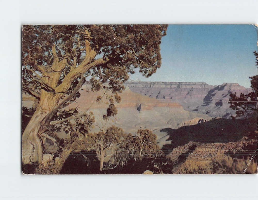 Postcard Grand Canyon Arizona USA