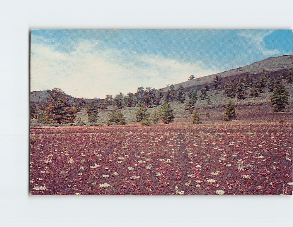 Postcard Cinder Gardens Craters of the Moon National Monument Idaho USA