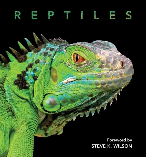 Reptiles, Hardcover by Wilson, Steve, Brand New, Free shipping in the US