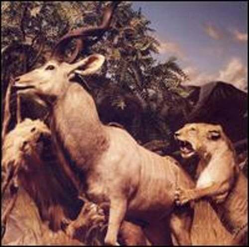Our Love to Admire by Interpol: Used
