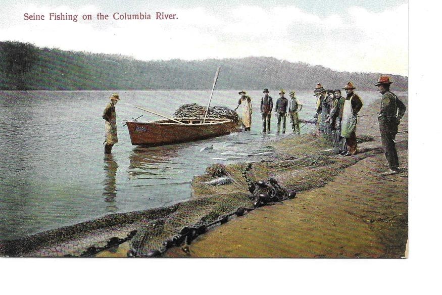 Vintage Postcard Seine Fishing on the Columbia River  011001