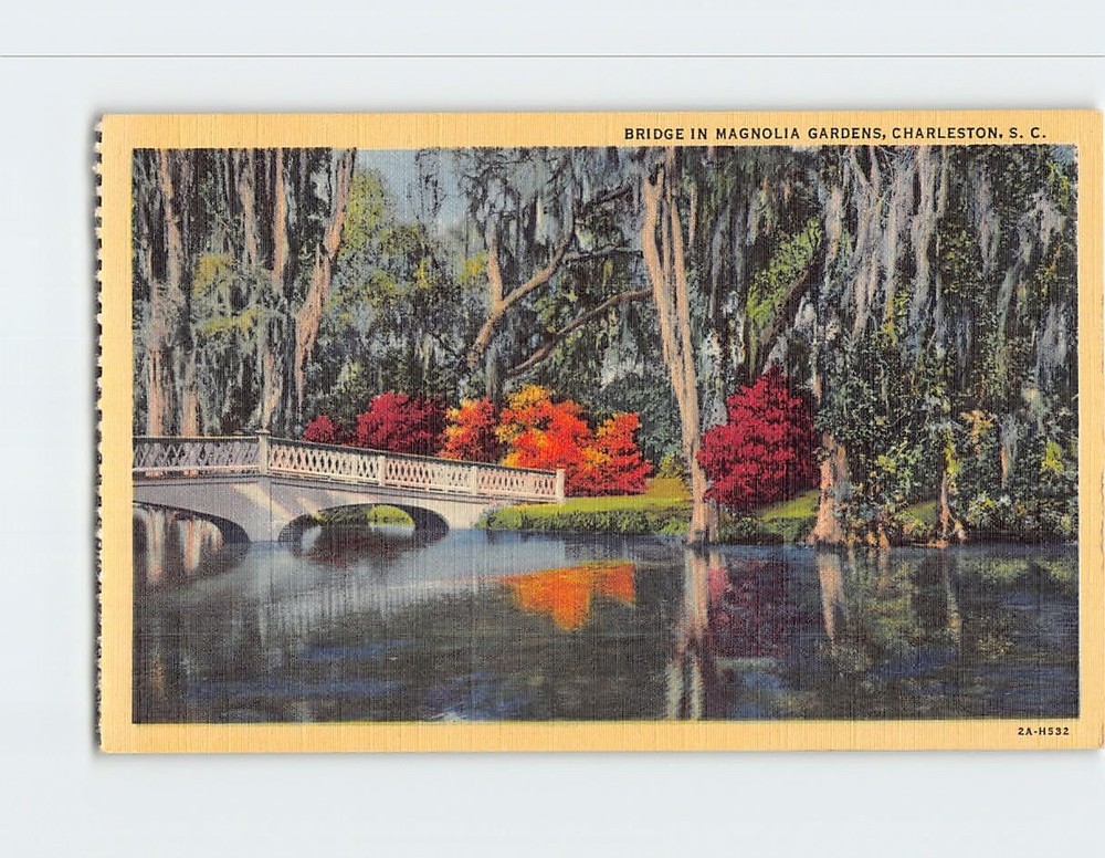Postcard Bridge in Magnolia Gardens Charleston South Carolina USA