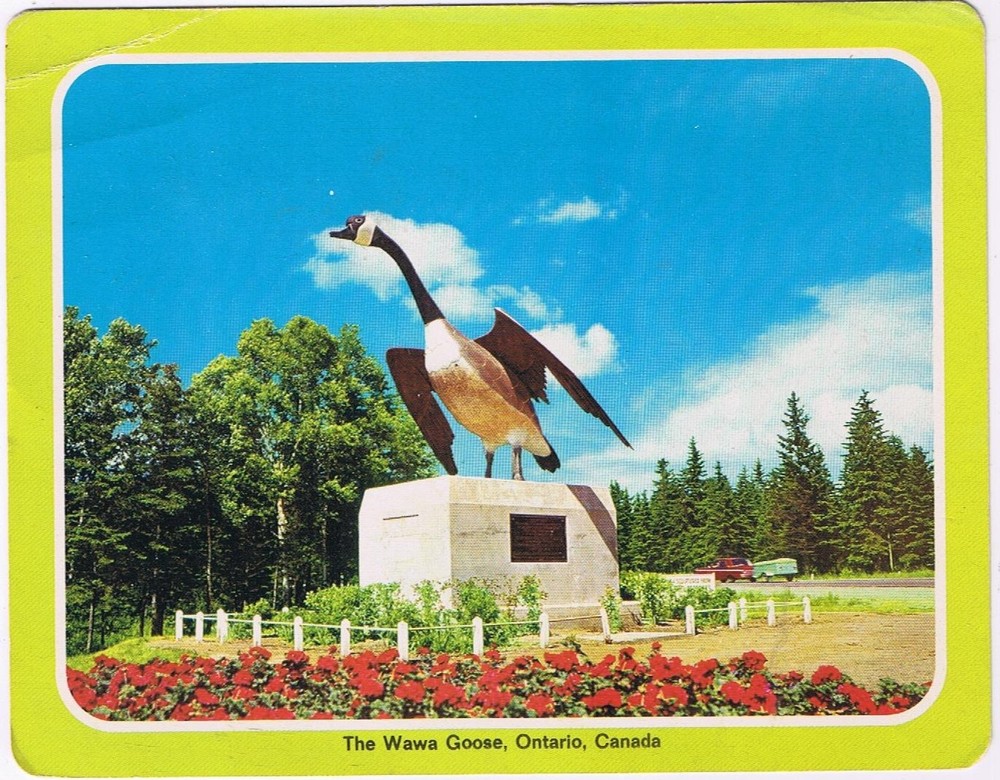 Postcard The Wawa Goose Ontario 5 1/4