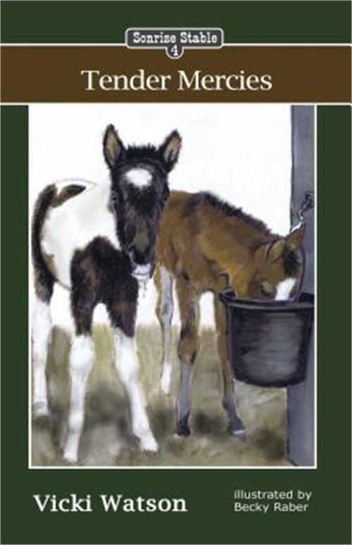 Sonrise Stable: Tender Mercies (Paperback or Softback)