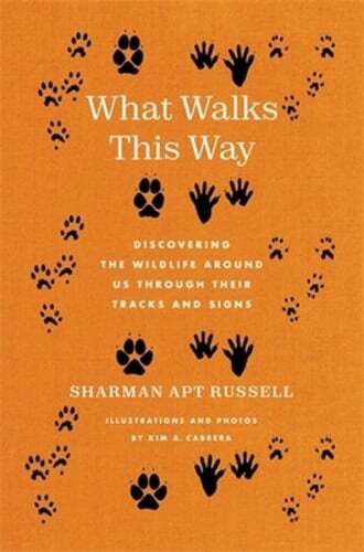 Explore Wildlife Through Animal Tracks and Trails in Nature