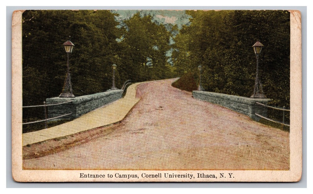 Ithaca NY Cornell University Campus Entrance Divided Back Postcard Posted 1910