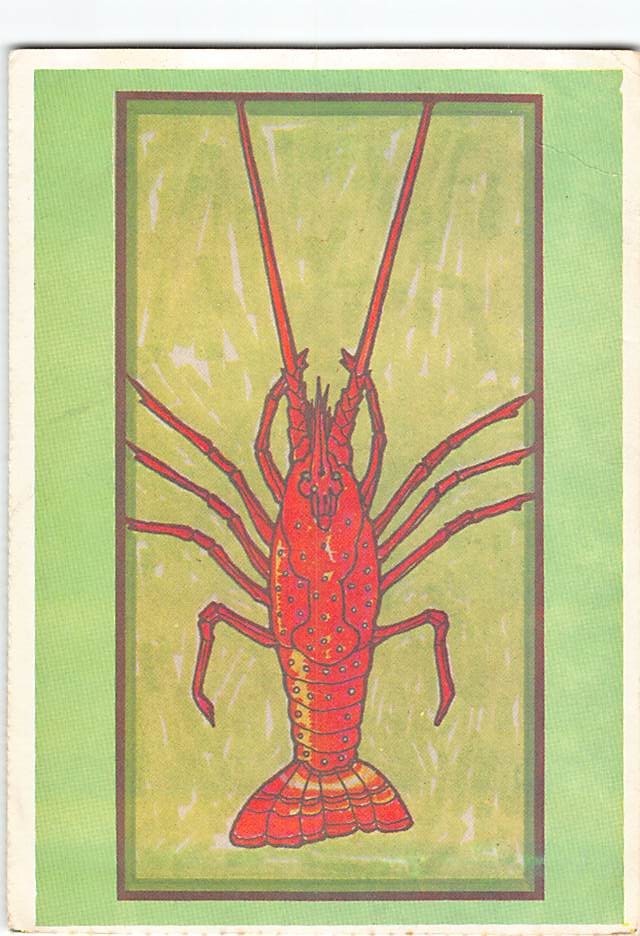 Postcard A&B Lobster House Key West Florida USA