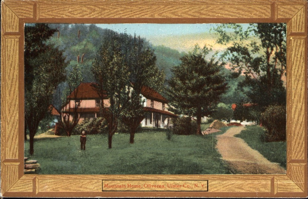 Mountain Home ~ Oliverea ~ Ulster County NY New York ~ faux wood frame ~ c1910