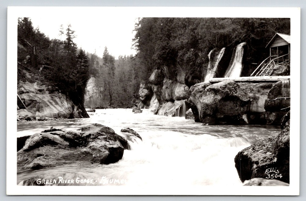 RPPC~Enumclaw Washington~View In The Green River Gorge~Real Photo Postcard