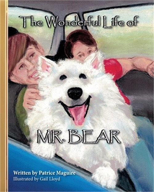 The Wonderful Life of Mr. Bear (Paperback or Softback)