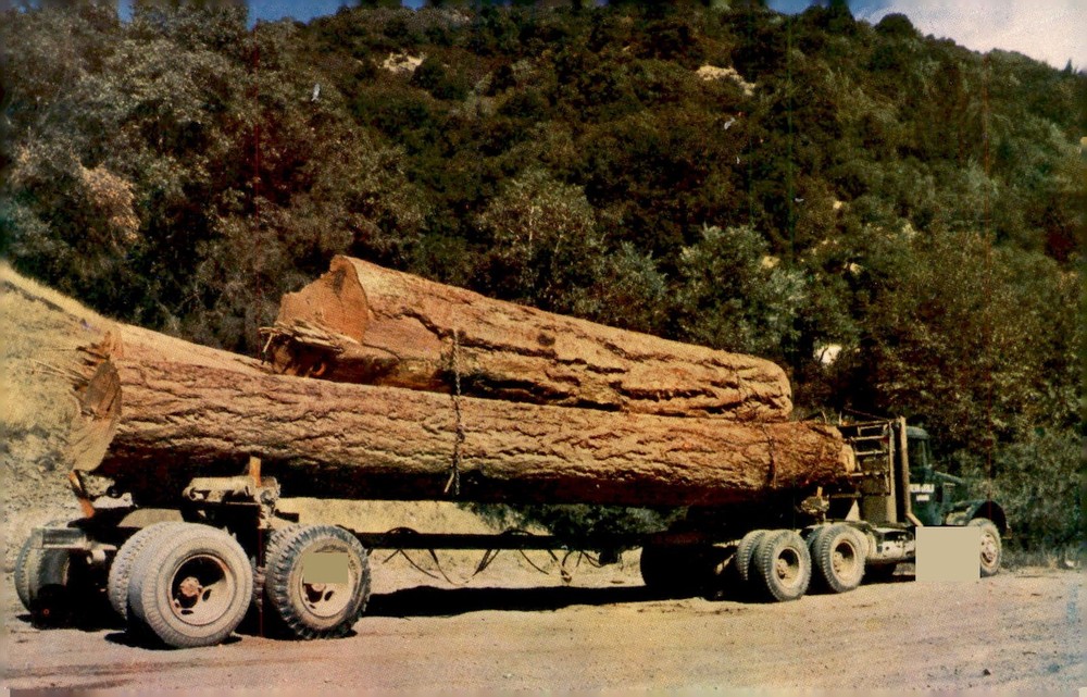 Logging Truck from Western Washington Forests, 1960s Postcard