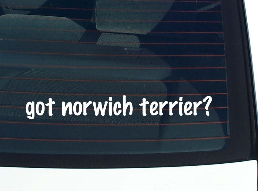Norwich Terrier Car Decal Funny Bumper Sticker Vinyl Window Joke