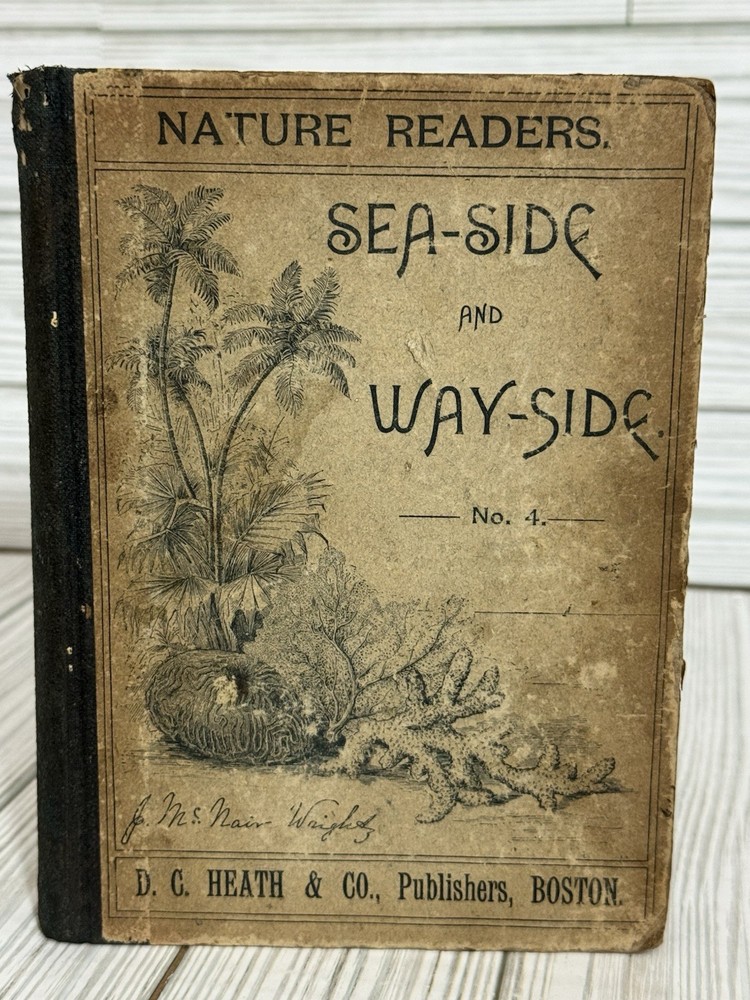 1895 Sea-Side and Way-Side No.4 Nature Readers Julia McNair Wright Antique Book