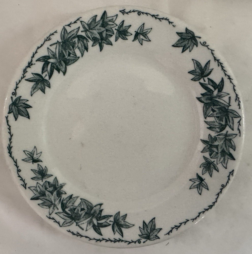 Vintage MCM Caribe Restaurant Ware Ivy 6 1/2