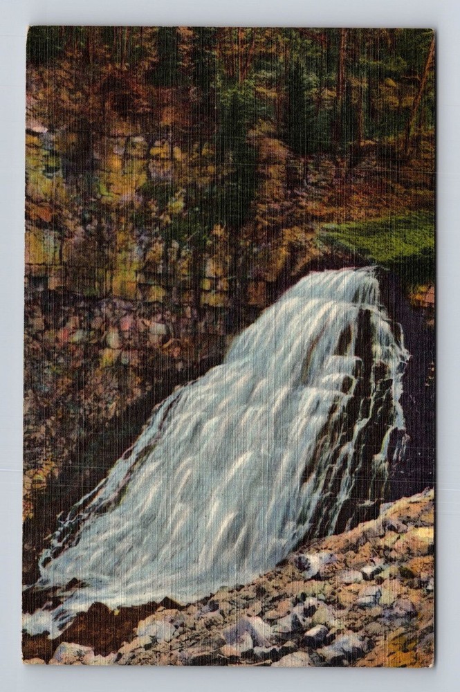 Yellowstone National Park, Rustic Falls, Series #966 Vintage Souvenir Postcard