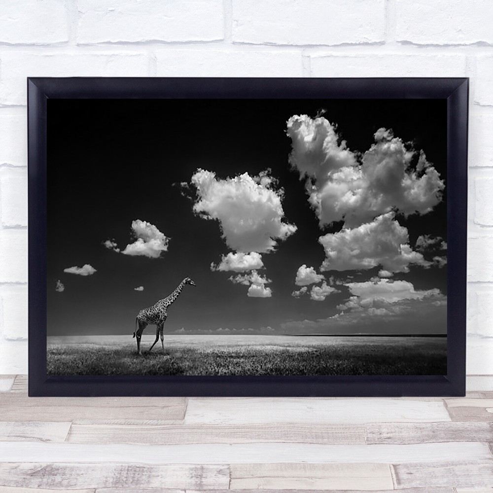 Gone With The Clouds Nature Animal Giraffe Wildlife Africa Sky Wall Art Print