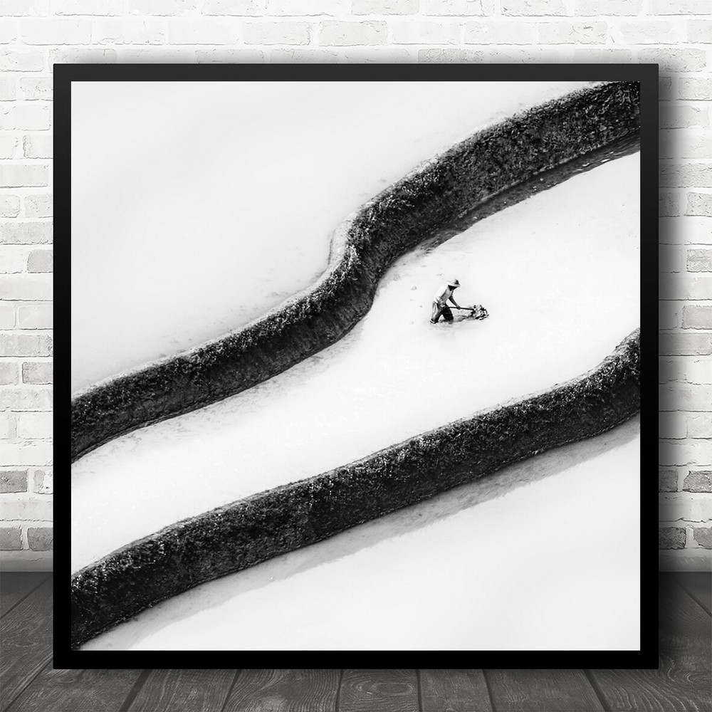 Landscape China Rice-Field Water Graphical Lines Man Farmer B&W Square Art Print
