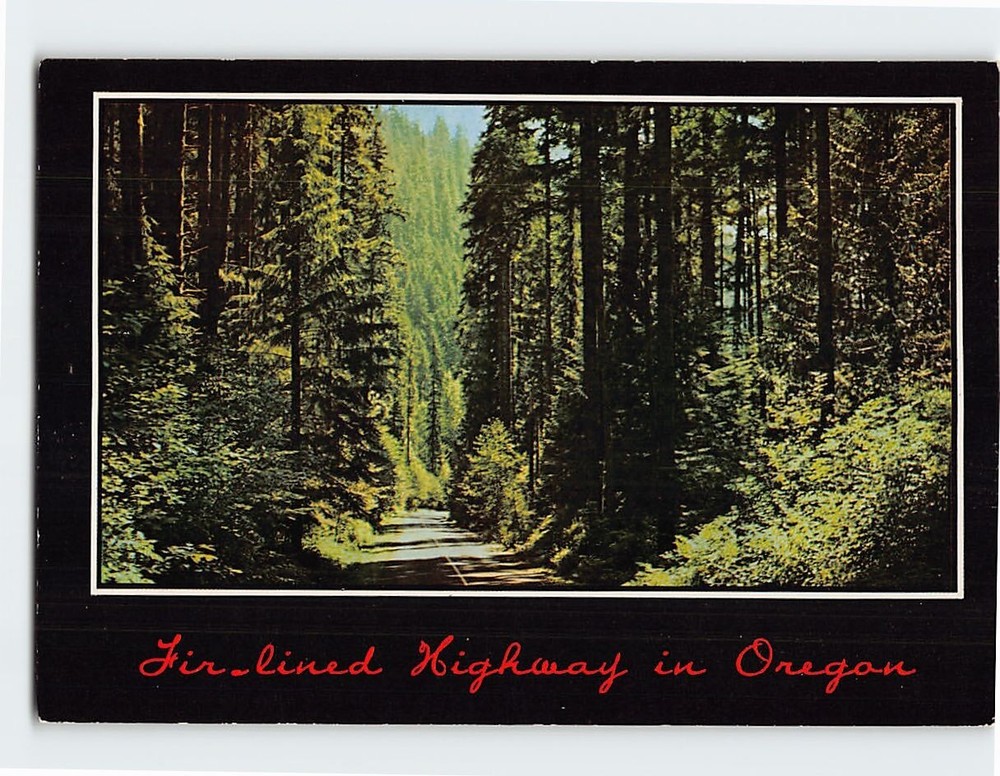 Postcard Fir-lined Highway in Oregon USA
