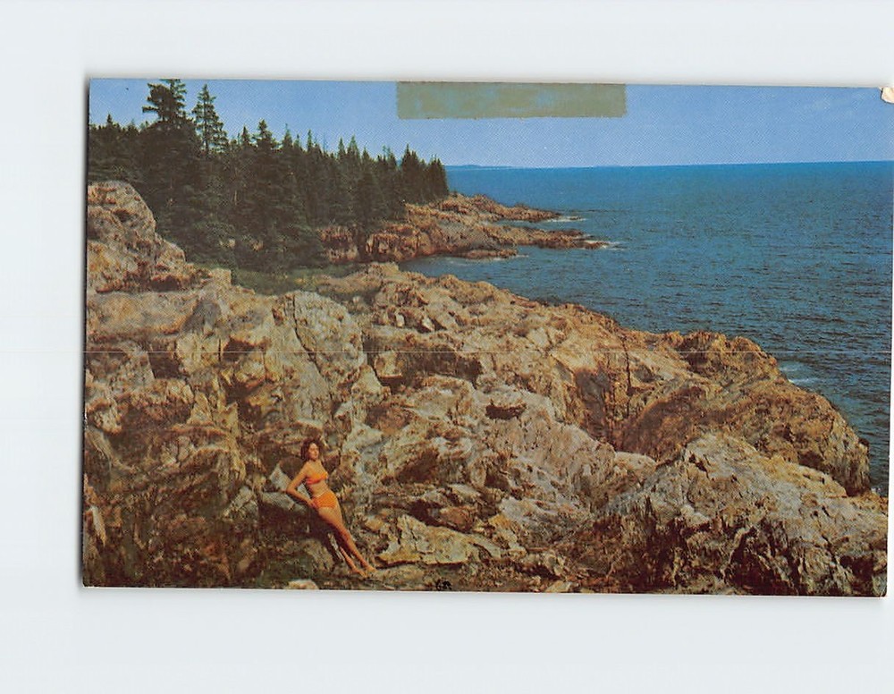 Postcard Ocean Drive Acadia National Park Mt. Desert Island Maine USA-image
